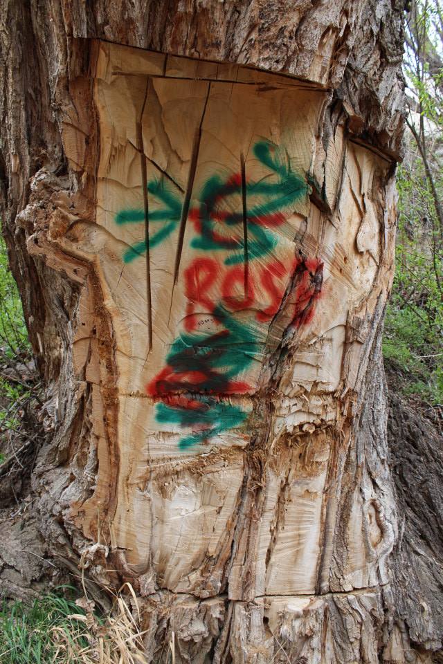 The trail markings, possibly why we got lost.