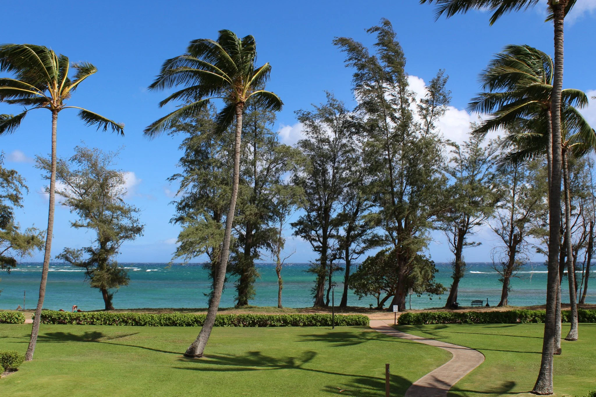View from our condo 