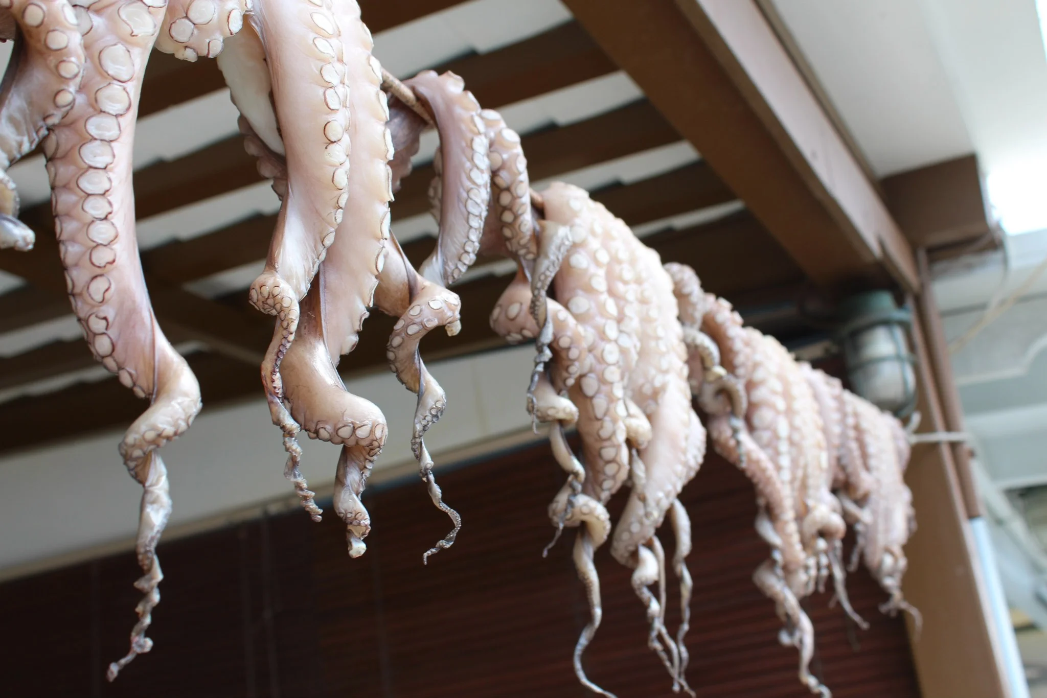 Known for their seafood